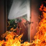 New berlin smoke - photo 1