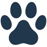 BestForPets - Pet Day Care in El Segundo