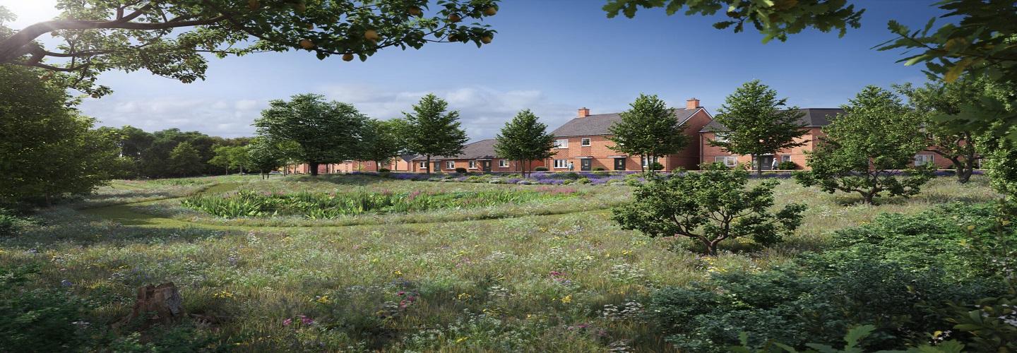 Holland Lloyd cover photo