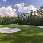 Walt Disney World® Golf - photo 1