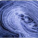 Encephalon Ltd - photo 2