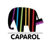 Caparol UAE - Manufacturer in Dubai
