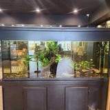 Ohm Theory - Cannabis Dispensaries in Elmwood Park