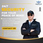 Eagle Eye Guards - photo 3