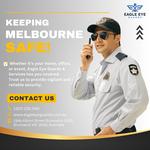 Eagle Eye Guards - photo 10