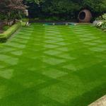 Cheltenham Mowers - photo 3