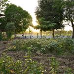 Ammas Dine - photo 1