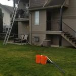 Callaghan’s Softwash - photo 5