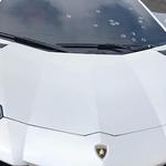 Windshield Replacement Nutley - photo 4