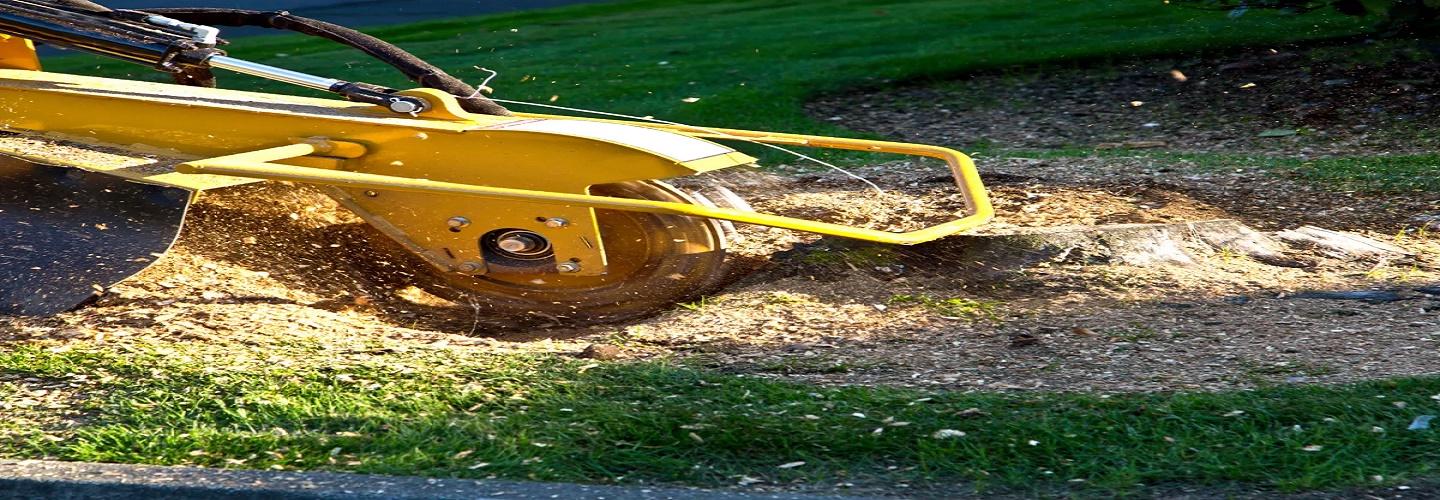 MTM Land Clearing Services cover photo