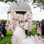 Froyle Park - photo 1