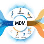 TELAMON - Publisher of data management software and business applications - photo 6