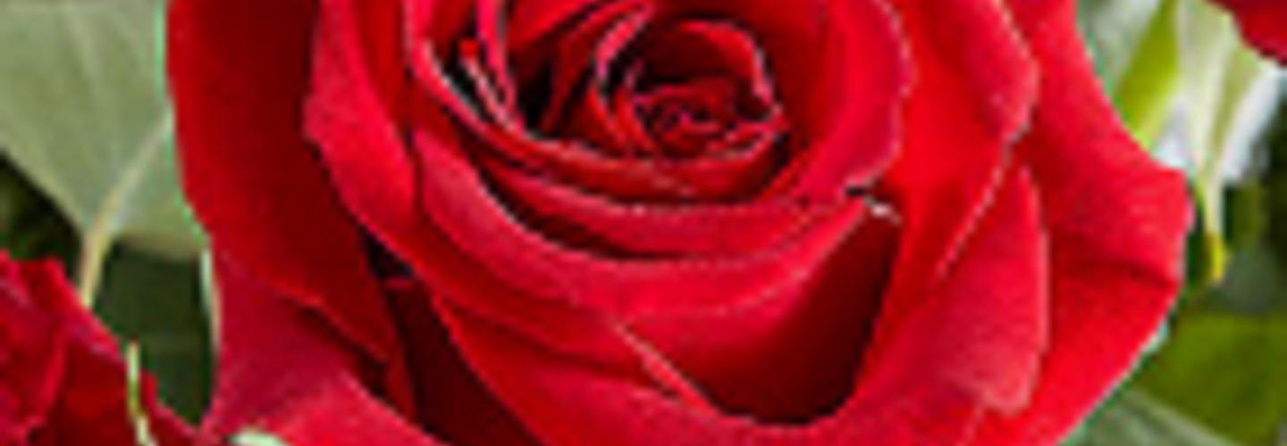 Muskan  mediecal comeny cover photo