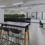 Luxe Co. Electrical - photo 2