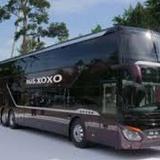 BUSXOXO - Travel Agents in Mississippi State