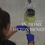 IV Elements - photo 3