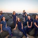 IV Elements - photo 4