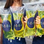 IV Elements - photo 5