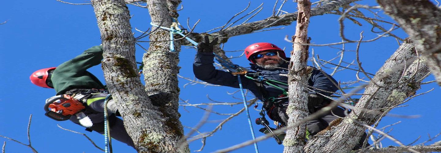 P.C. Hoag & Co. INC. cover photo