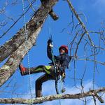 P.C. Hoag & Co. INC. - photo 1