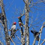 P.C. Hoag & Co. INC. - photo 2