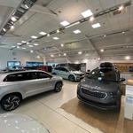 Allams Skoda Epsom - photo 4