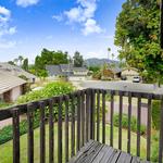 Mr. Rancho - photo 5