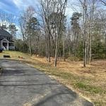 Empire Tree Services - photo 1