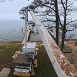 Empire Tree Services - photo 3