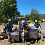 Empire Tree Services - photo 5