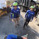 Empire Tree Services - photo 6