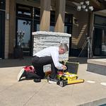 Black Tie Sustainable Pool and Landscape, Inc. - photo 4