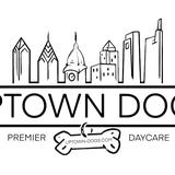 Uptown Dogs - Pet Day Care in Philadelphia