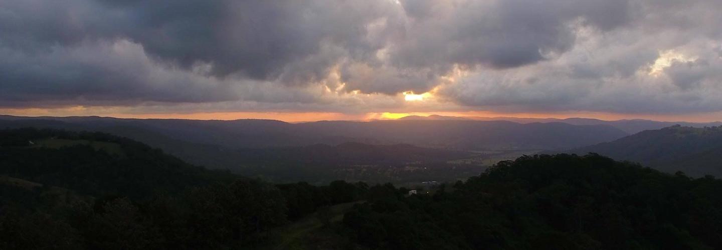 Red Bean Productions cover photo