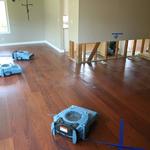 BlueRed Restoration LLC - photo 2