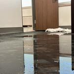 BlueRed Restoration LLC - photo 10