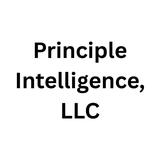 Principle Intelligence, LLC - Home Security Systems in Austell