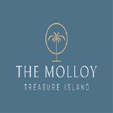 The Molloy - A Boutique Beach Resort - Hotels in Treasure Island