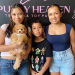 Puppy Heaven - Teacup & Toy Puppies - photo 1