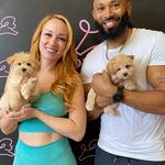 Puppy Heaven - Teacup & Toy Puppies - photo 2