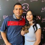 Puppy Heaven - Teacup & Toy Puppies - photo 4