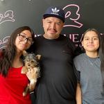 Puppy Heaven - Teacup & Toy Puppies - photo 9