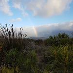 Green Mountain Trail - photo 4