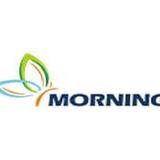 Morningtents  - Internet Service Providers in Texas City