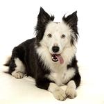 John Jenkins Photography - photo 1