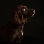 John Jenkins Photography - photo 2