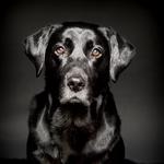 John Jenkins Photography - photo 5