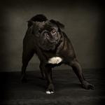 John Jenkins Photography - photo 10