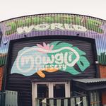 Little Mowgli Nursery - photo 1