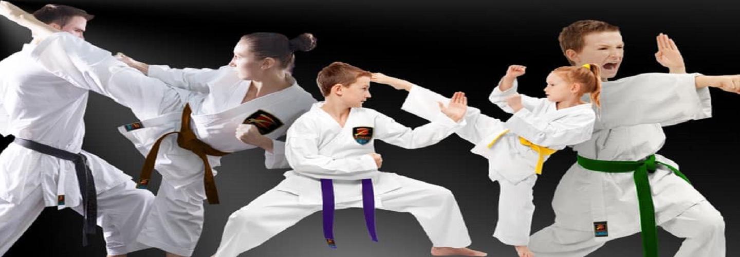 Z-Ultimate Self Defense Studios cover photo
